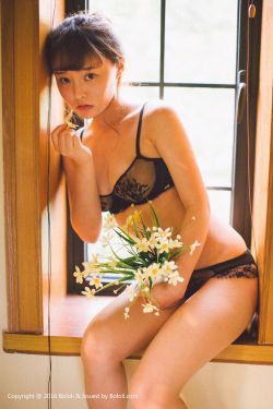 电车之狼R